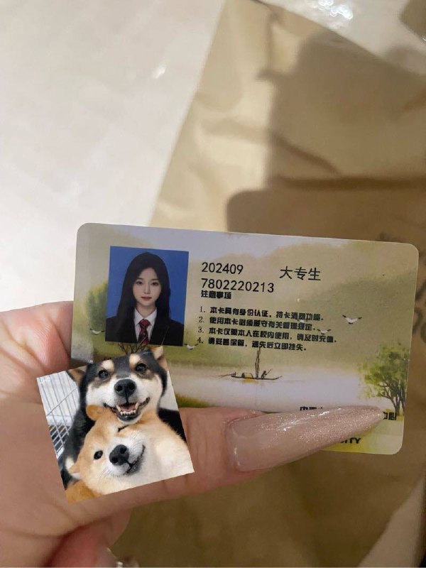 长沙一克拉🏠美琪在校学生 04 168👩‍🎓实习护士👶美淇💗💝🛩168 C 04年真实医药专业学生 实习药师可考专业知识🉑看学生证🔥服务好 有耐心 不催课🈚️差评🈚️不良嗜好 性格热情温柔暂时3⃣️起 不接醉酒课 只接素质客户💕纯天然0整容    碧玺纯欲类型🦋全身雪白🐝三点🌸🌸粉天然白虎茫茫人海期待与你相遇🌟需要安排点击预约:@AnnaGJ168📲被双向限制联系:@AnnaGJ168bot