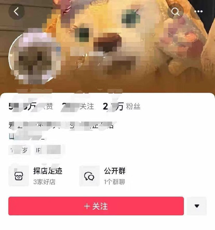 #恒大歌舞团气质美女 小网红