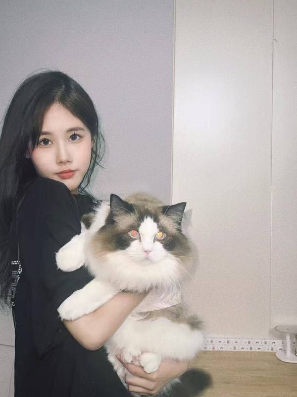 #广州阿力🔥真实在校生，无不良嗜好 170c雪白三点真粉 ！无纹身  ！天然无整超级纯，甜美可爱声甜体柔江南女孩，有缘得以相见低素质勿扰🙏#126