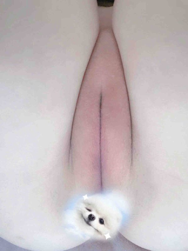 #广州卡人🏠💌💌💌天然白虎174真实大E水滴🐻一线天。上↓粉。皮肤巨白🉑蛇纹，代开，登记。洗瘦勿排，微胖。#白虎#大米