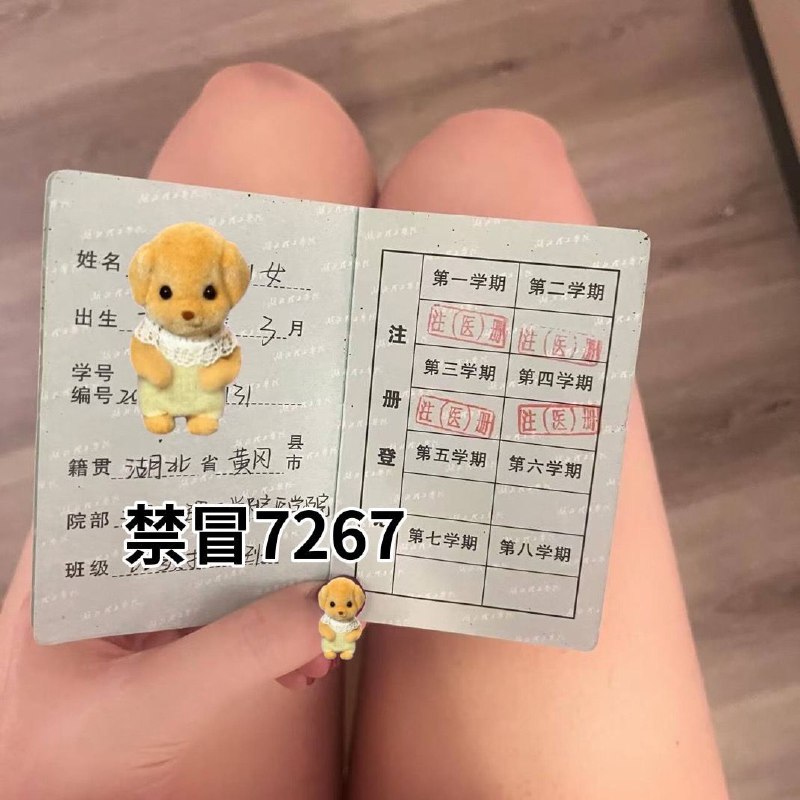 高中生短期兼职【可看学生证，学信网可查】• 𝐇𝐞𝐢𝐠𝐡𝐭身高/168   • 𝐖𝐞𝐢𝐠𝐡𝐭体重/92• 𝐁𝐮𝐬𝐭胸围/C• 𝐀𝐠𝐞年龄/06A𝟰腰、筷子大长腿、粉如樱白似白雪、完美身材奶肌 粉嫩白幼 上下三点粉 小巧玲无纹身，无整容🌟需要安排点击预约:@AnnaGJ168📲双向限制请联系:@AnnaGJ168bot🉑点击置顶消息查看本频道详细信息。查看本频道全部业务【安娜国际外围】广州高端外围为极搜长期重金付费广告，请放心消费，秉持客户满意度，客户忠诚度，客户超值惊喜的客户关系理念，放心预约